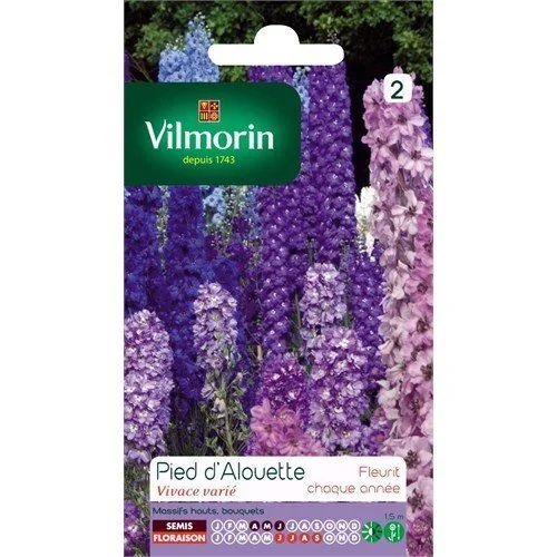 Vilmorin Hazeran Çiçeği (Süvari Mahmuzu) Tohumu
