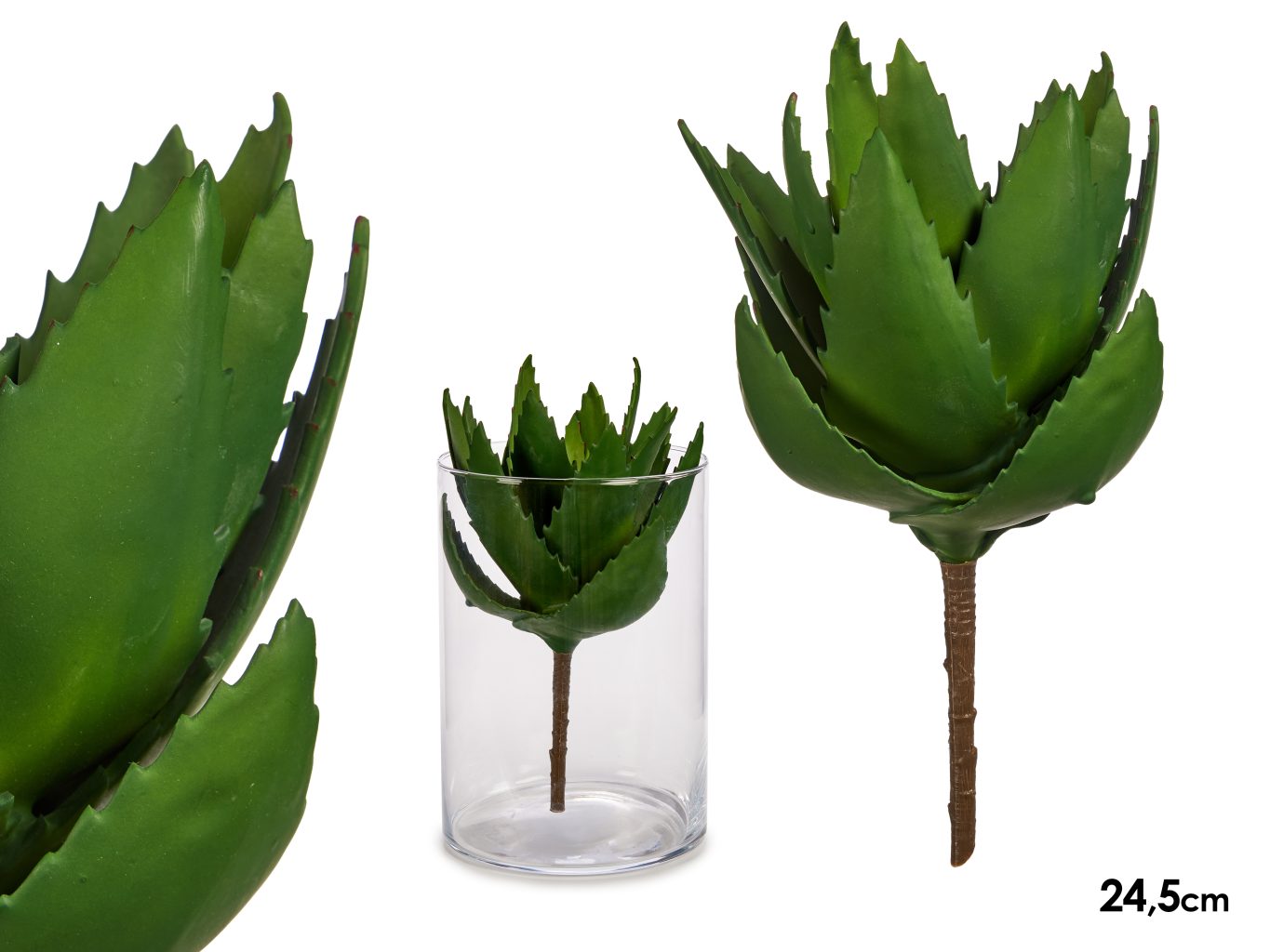 Giftdecor Aloe Vera Plant