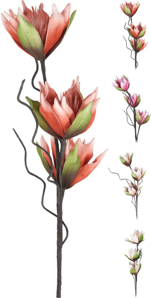 Proteaceae Branch 98cm 4ASS