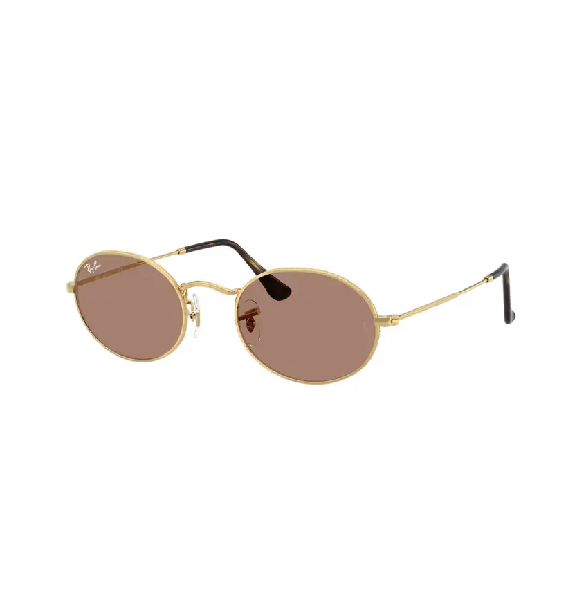Violet Lens Oval Sunglasses 0RB3547001/1A51