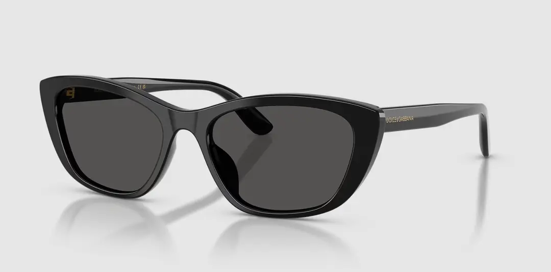 Black Cat Eye Acetate Sunglasses