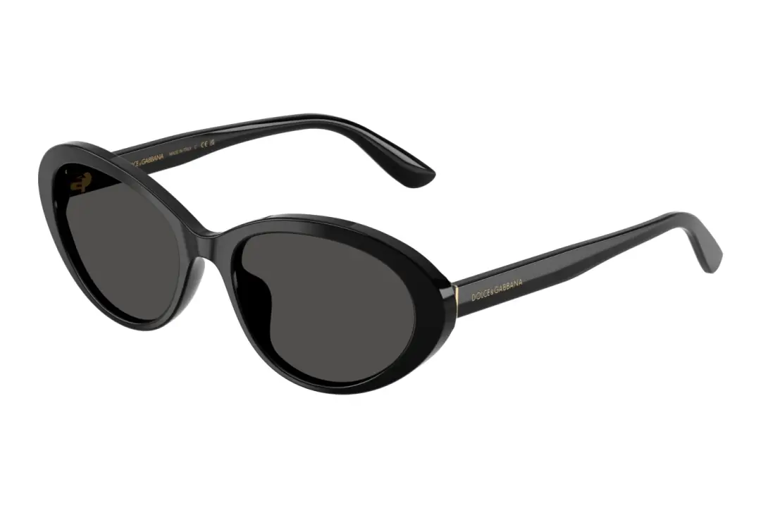 Acetate Black Sunglasses 0DG4570