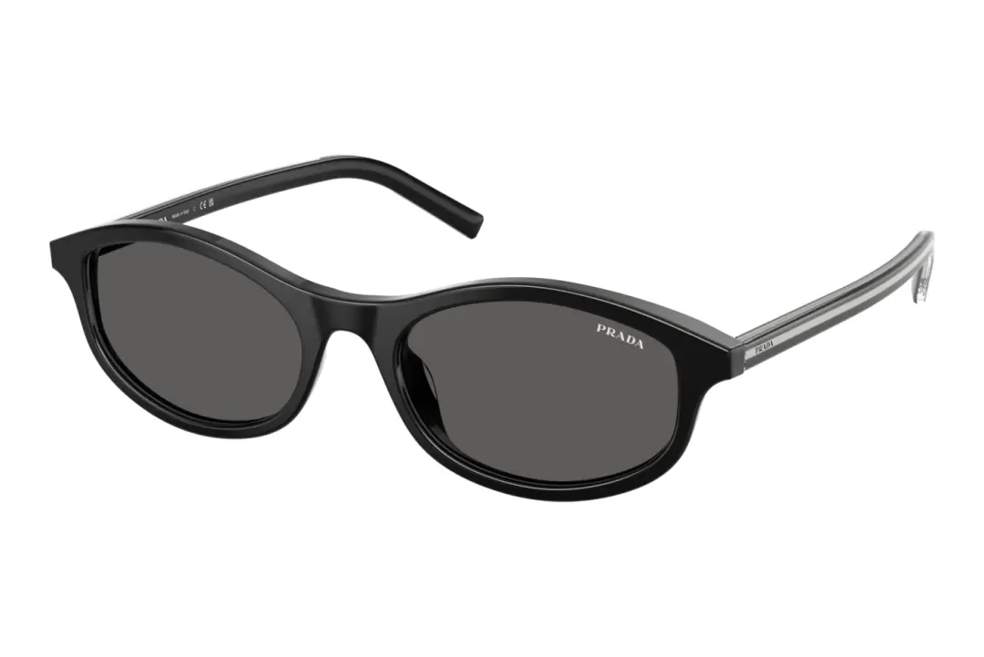 Black Acetate Sunglasses PR D17S